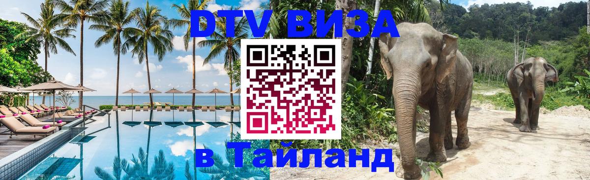 Цены на DTV визу в Таиланд — пакеты услуг, достаточно даже паспорта - 19.11.2025 